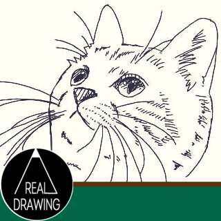 簡単イラストの描き方 子猫の書き方サムネイル ３度見される絵を描こう リアル絵の描き方