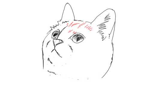 簡単イラストの描き方 子猫の書き方18 ３度見される絵を描こう リアル絵の描き方