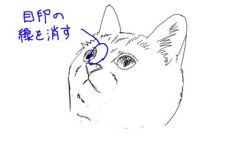 子猫の絵の書き方 初心者でも簡単なイラスト ３度見される絵を描こう リアル絵の描き方
