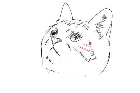 簡単イラストの描き方 子猫の書き方21 ３度見される絵を描こう リアル絵の描き方