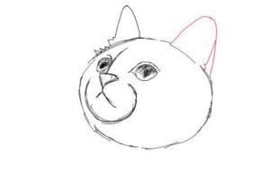 簡単イラストの描き方-子猫の書き方10