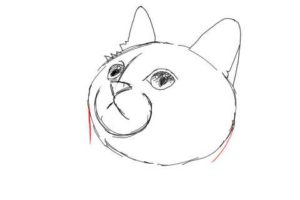 簡単イラストの描き方-子猫の書き方11
