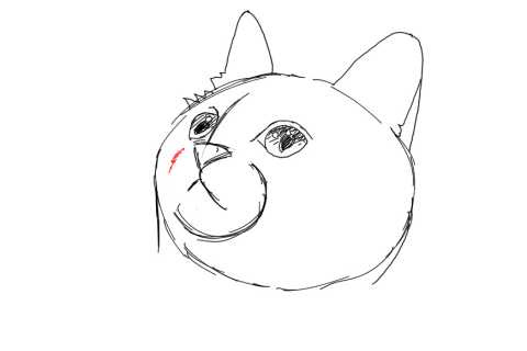 簡単イラストの描き方-子猫の書き方12