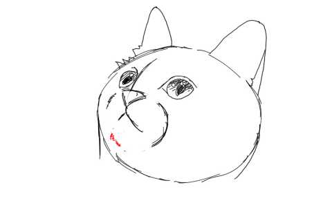 簡単イラストの描き方-子猫の書き方13