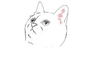 簡単イラストの描き方-子猫の書き方17