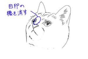 簡単イラストの描き方-子猫の書き方19