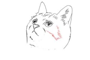 簡単イラストの描き方-子猫の書き方20