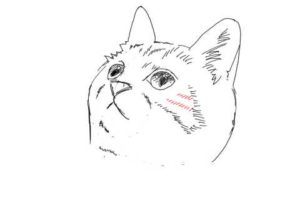 簡単イラストの描き方-子猫の書き方21