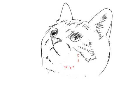簡単イラストの描き方-子猫の書き方22