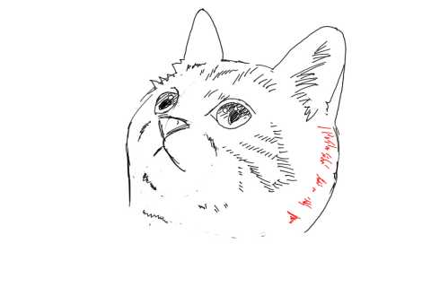 簡単イラストの描き方-子猫の書き方23
