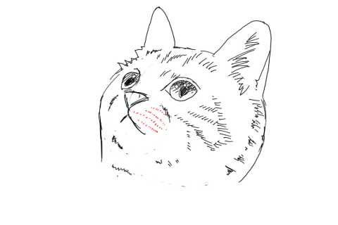 簡単イラストの描き方-子猫の書き方24