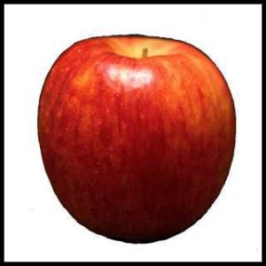 リアルな絵の描き方-リンゴを紙に描くときの大きさ中