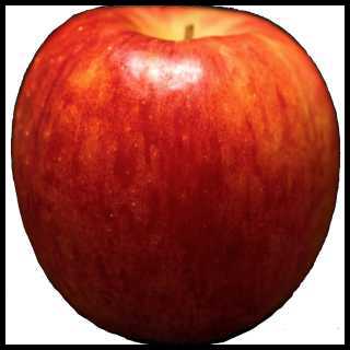 リアルな絵の描き方-リンゴを紙に描くときの大きさ大