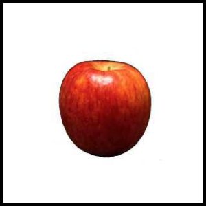 リアルな絵の描き方-リンゴを紙に描くときの大きさ小