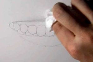 リアルな絵の描き方－歯の描き方12