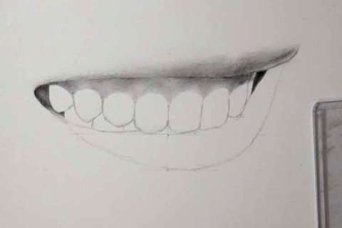 リアルな絵の描き方－歯の描き方19