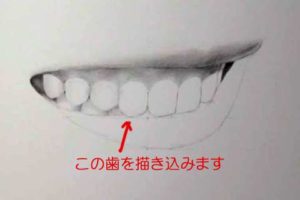 リアルな絵の描き方－歯の描き方20-2