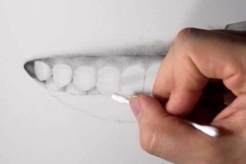リアルな絵の描き方－歯の描き方23