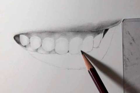 リアルな絵の描き方－歯の描き方26