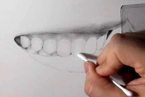 リアルな絵の描き方－歯の描き方27