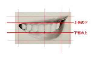 リアルな絵の描き方－歯の描き方3