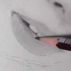 唇の絵の書き方－リアルな鉛筆画の描き方13