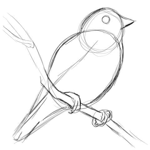 リアルな絵の描き方 小鳥の描き方6 ３度見される絵を描こう リアル絵の描き方