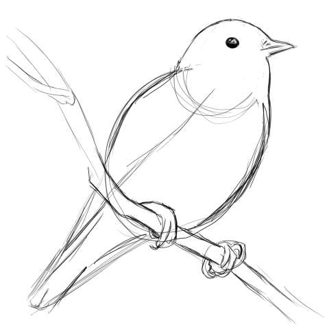 リアルな絵の描き方 小鳥の描き方8 ３度見される絵を描こう リアル絵の描き方