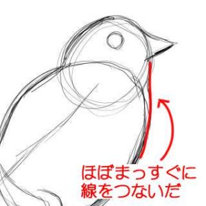 リアルな絵の描き方-小鳥の描き方5-2