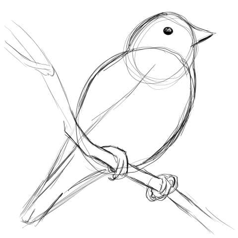 リアルな絵の描き方-小鳥の描き方7
