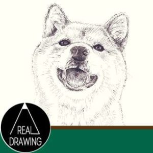 リアルな絵-柴犬の絵の書き方サムネイル-セピア